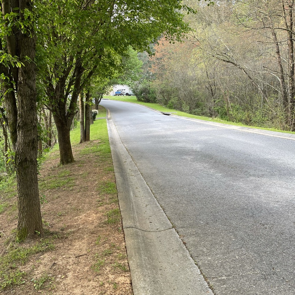 Meet your Posher, Barbara